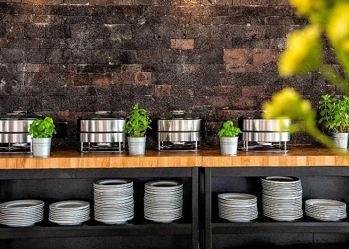 Albatros By Malibu * كالاو سالفاجي